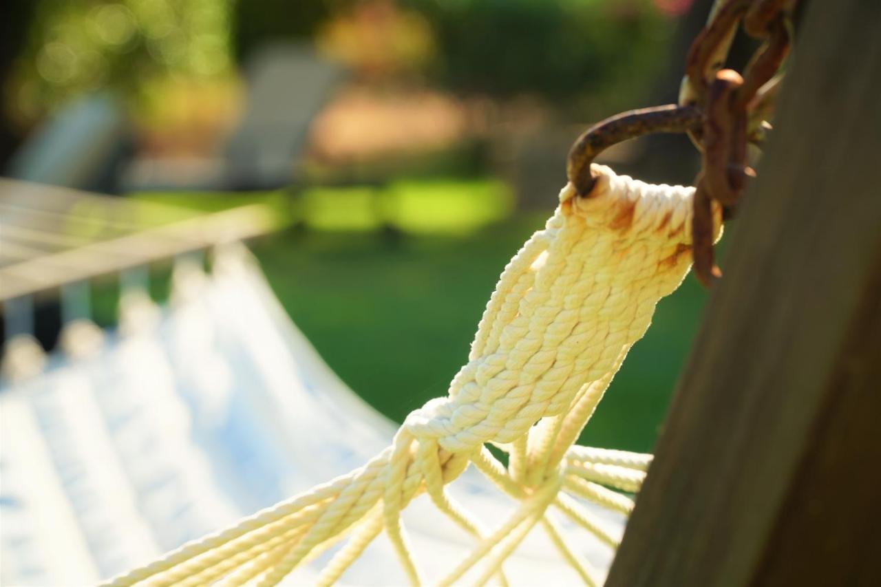 Agroturismo Finca Sa Tanca Cala D´Or Eksteriør billede