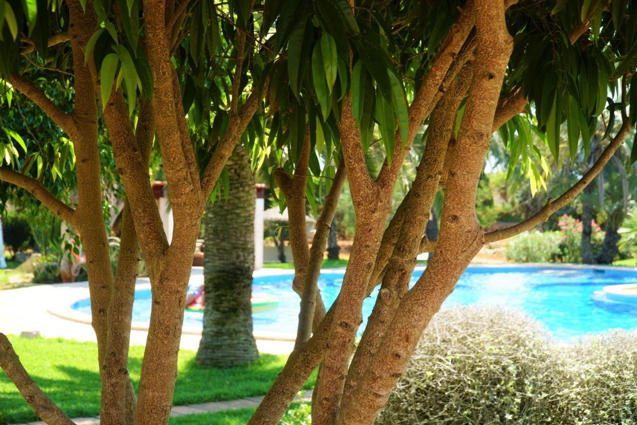 Agroturismo Finca Sa Tanca Cala D´Or Eksteriør billede