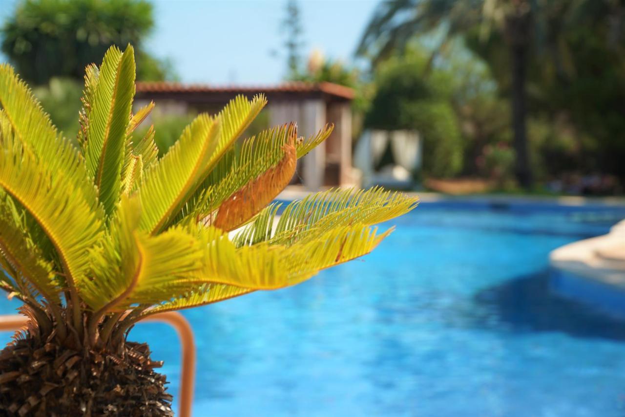 Agroturismo Finca Sa Tanca Cala D´Or Eksteriør billede