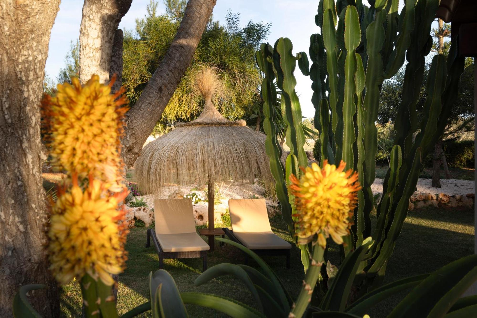 Agroturismo Finca Sa Tanca Cala D´Or Eksteriør billede