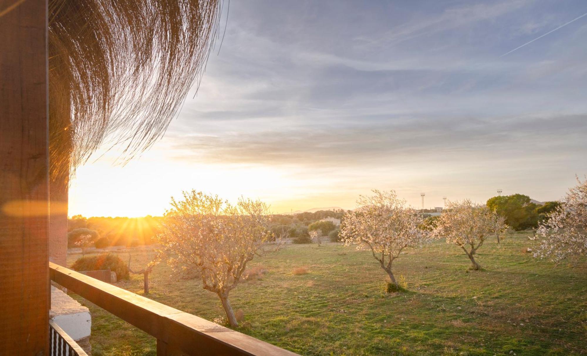 Agroturismo Finca Sa Tanca Cala D´Or Eksteriør billede
