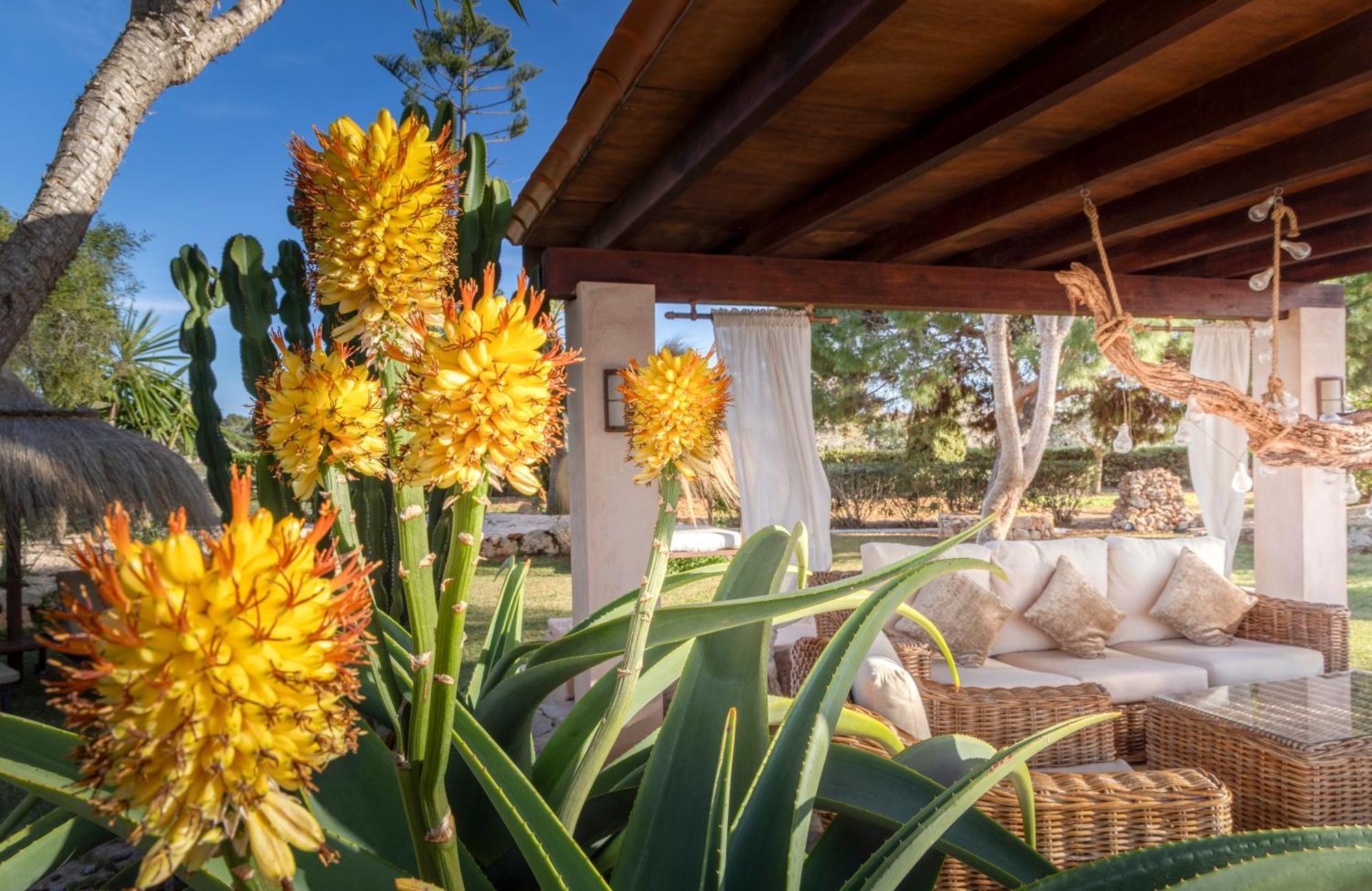 Agroturismo Finca Sa Tanca Cala D´Or Eksteriør billede
