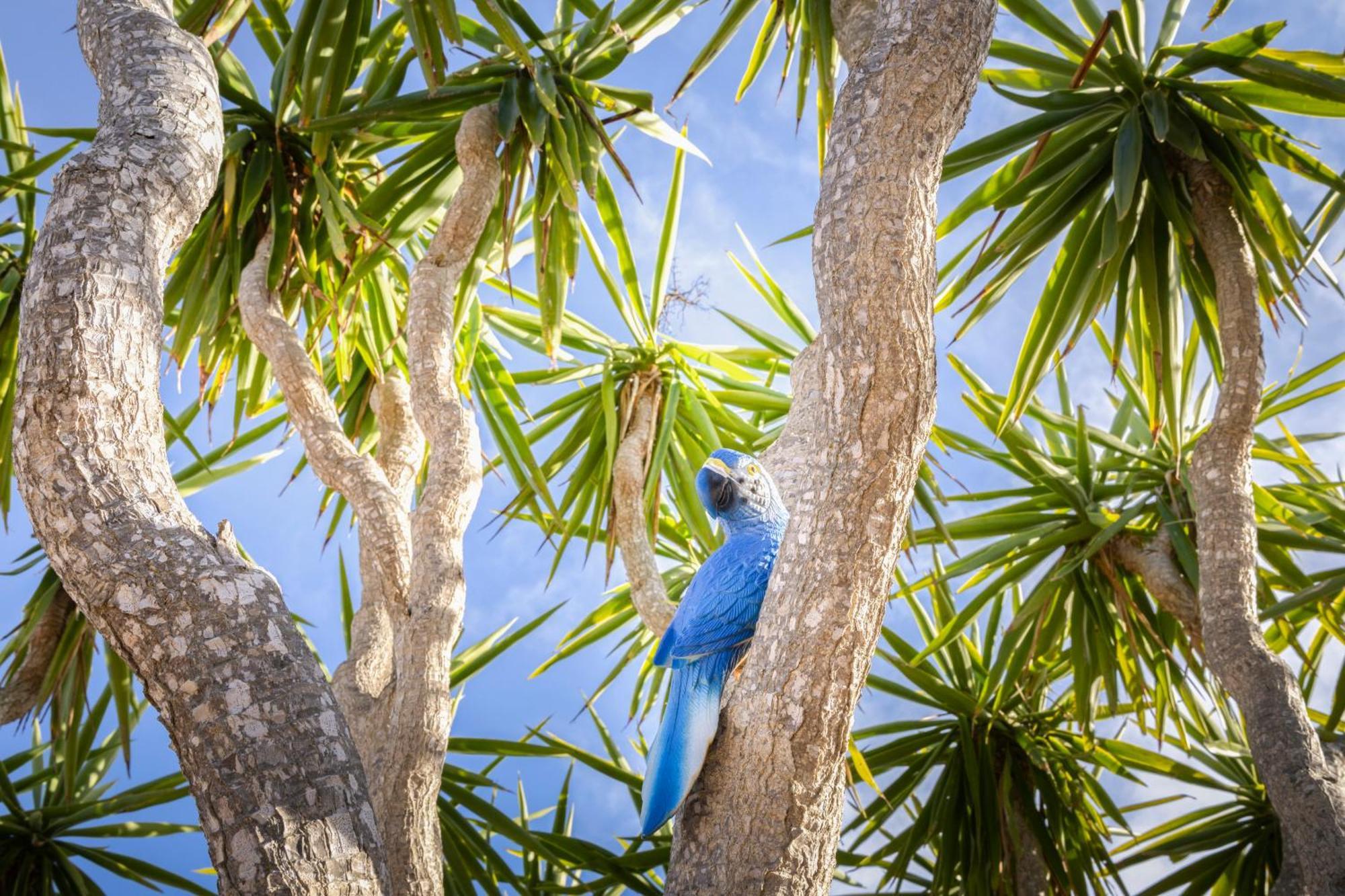 Agroturismo Finca Sa Tanca Cala D´Or Eksteriør billede